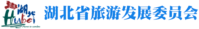 领航国际 协同 业务定制 平台应用