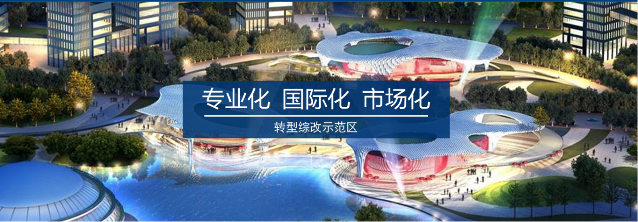 领航国际 协同 业务定制 平台应用