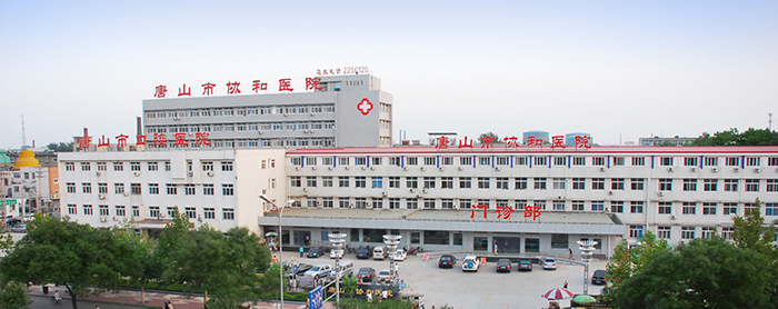 领航国际 协同 业务定制 平台应用