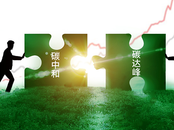 领航国际 数字化转型 协同办公 COP