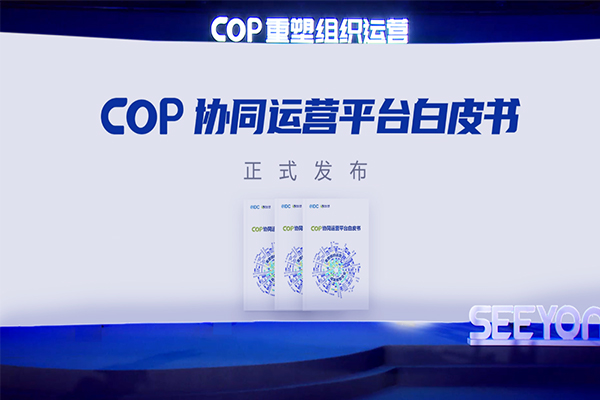 领航国际 IDC 协同运营平台 COP 