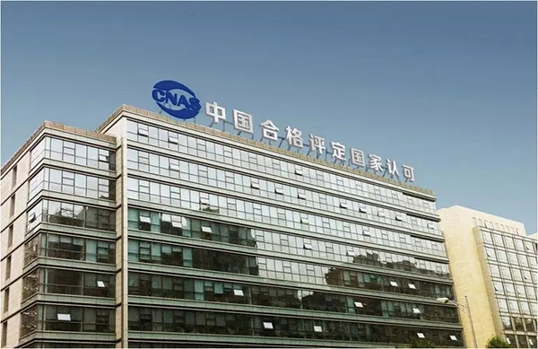 领航国际，协同办公