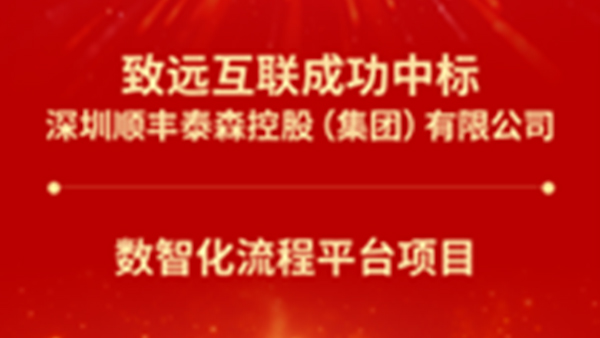 领航国际，顺丰集团，流程