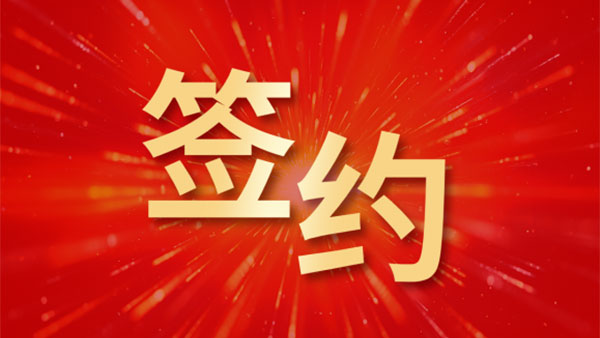 领航国际，国药医疗，党建管理，费控管理