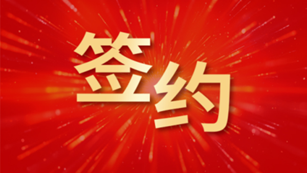 领航国际，哈尔滨电气，财税一体化