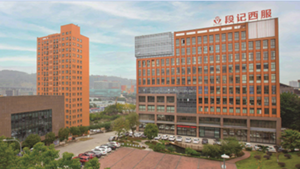 段氏集团，领航国际