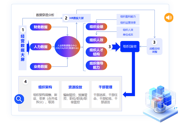 组织发展联动